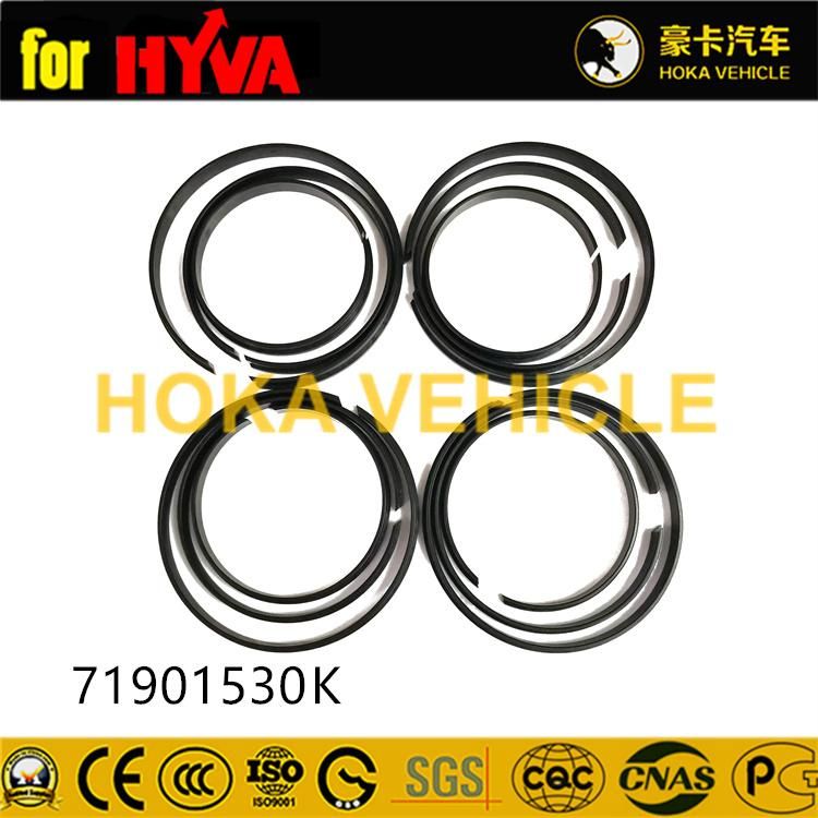Truck Spare Parts Seal Kit 71901530K for Dump Truck Hyva Hoist System