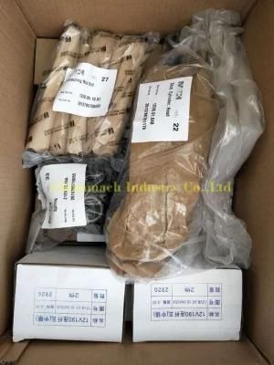 Jinan Diesel Jichai, Z12V 190b Diesel Engines Spare Parts