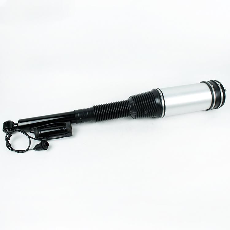 Wholesale Rear Pneumatic Air Bag Spring Suspension for W220 S-Class Auto Parts Manufactures 2203205013