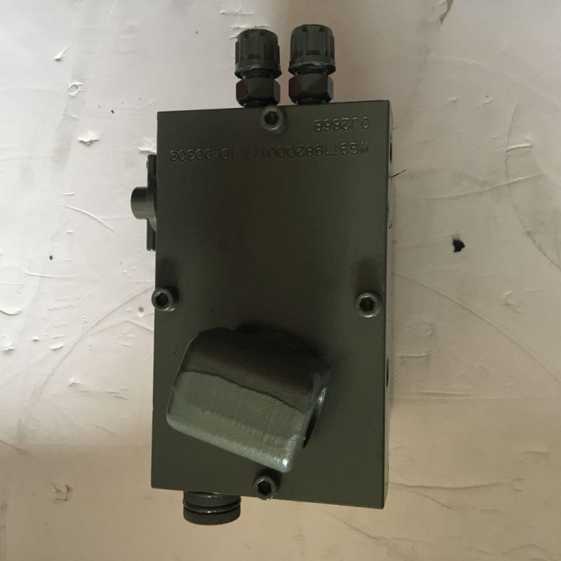 Sinotruck HOWO Parts Wg9719820001/1 Hydraulic Pump for Sale
