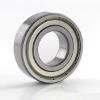 Deep Groove Ball Bearing (77502H)