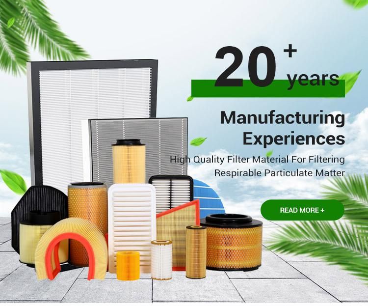 Fast Delivery Customized Auto Parts Air Filter OE: Mr188657