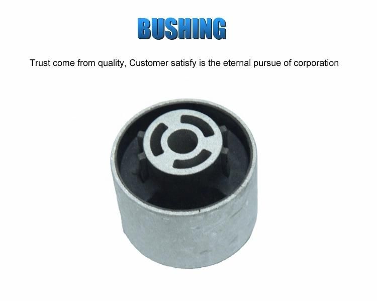 Auto Parts Rear Control Arm Trailing Bushing for VAG 1K0 505 541 B