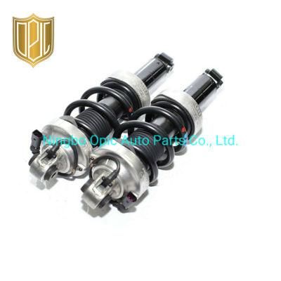Bestselling Genuine Quality Car Shock Absorber for Audi R8