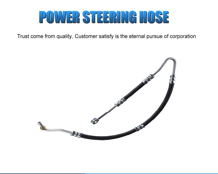 32411093119 32411094841 Power Steering Hose for BMW 5