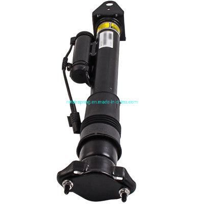 High Quality Rear Left Right Air Spring Strut Shock Absorber with Ads 2513202931 2513201031 for Mercedes-Benzv251 W251 R320 R350 R500