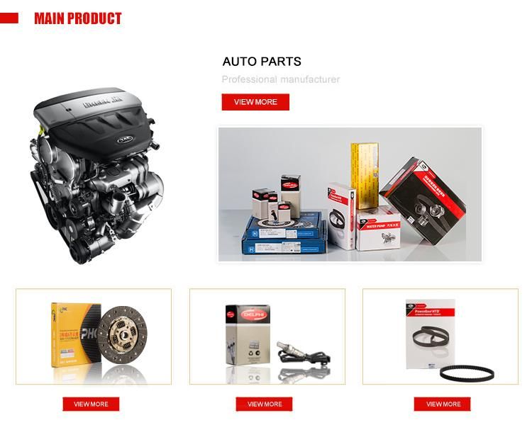 Auto Parts Tensioner Engine Auto Belt for Saic Maxus V80 G10 T60 C00197475