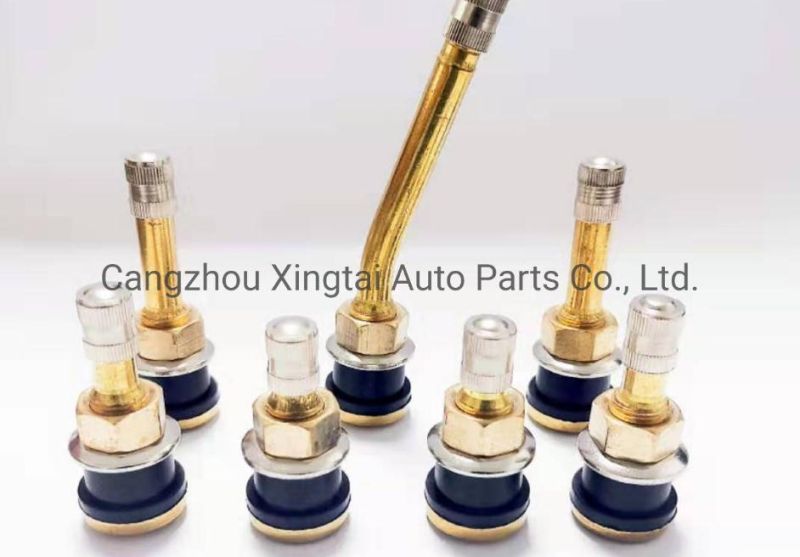 Aluminum/Zn Alloy/Copper High Quality Snap in Tubeless Tyre Valve Tr413