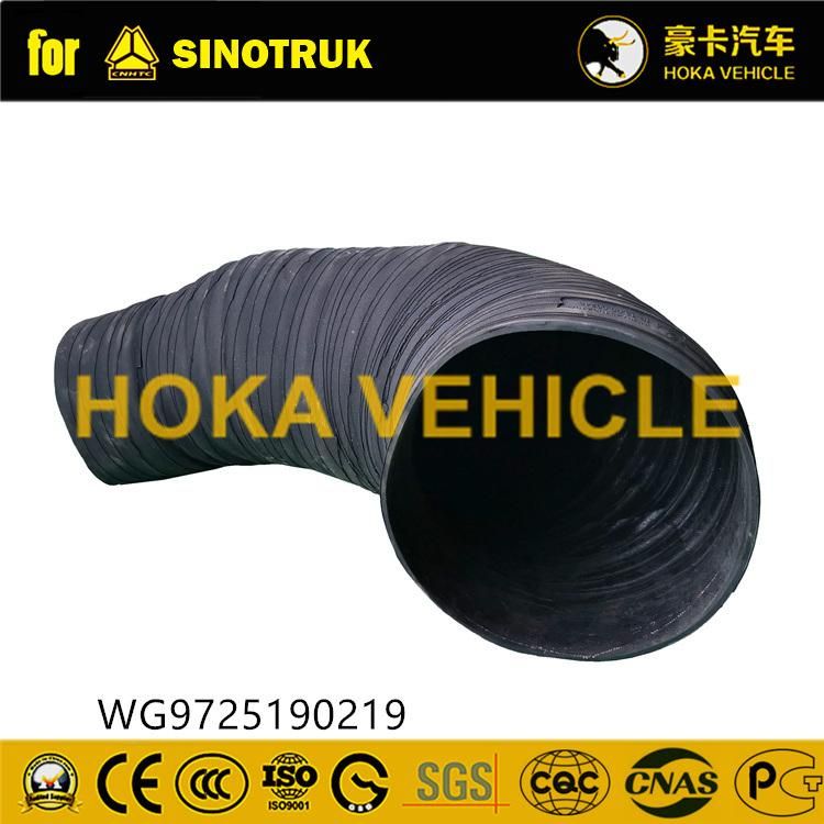Original Sinotruk HOWO Truck Spare Parts Intake Pipe for Air Filter Assy. Wg9725190219