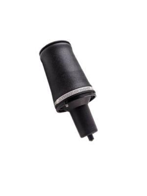 Auto Parts High Quality Front Air Bg Suspension Spring for Land Rover P38A OEM Reb101740 Reb101740e