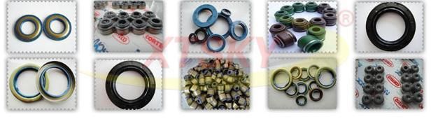 Xtsky Tb Oil Seal (25*44.5*10mm)