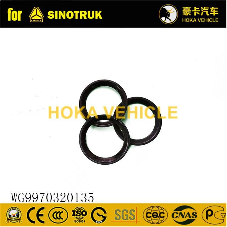 Original Sinotruk HOWO Bushing Snap Ring Wg9970320135 for All Sinotruk Heavy Truck