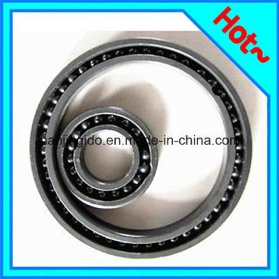 Wheel Bearing with Chrome Steel Material 6005