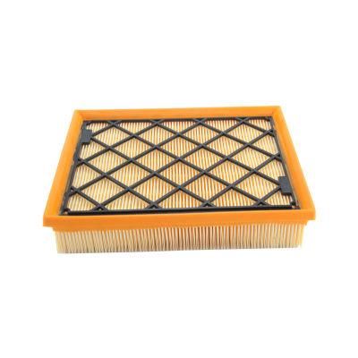 China Car Filter Manufacturer Air Filter Ds739601AC