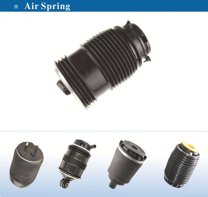 Auto Part Air Spring Bellow Suspension Spare Parts for Benz Sprinter Rear 1052032500