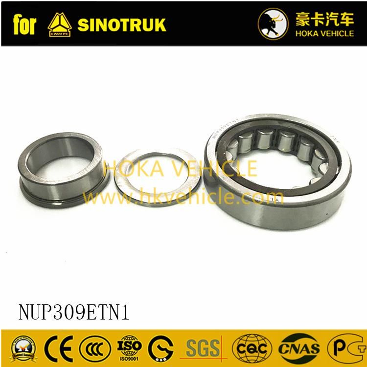 Original Sinotruk HOWO Truck Spare Parts Bearing Nup309etn1 for All Sinotruk Heavy Truck