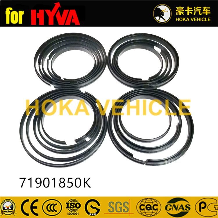 Truck Spare Parts Seal Kit 71901850K for Dump Truck Hyva Hoist System