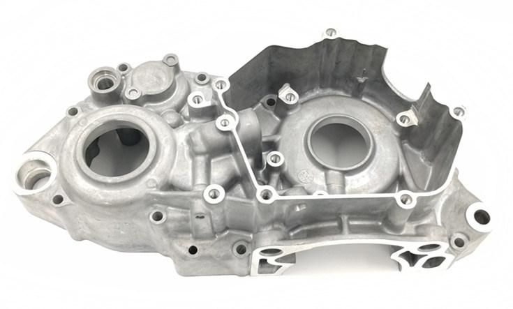 OEM Customized Precision Aluminum Die Casting Motor Housing
