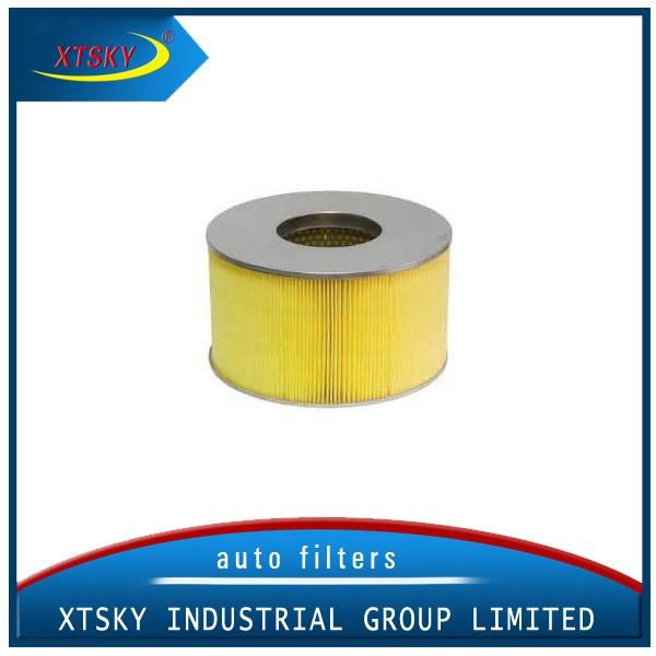 Xtsky Auto Air Filter 17801-17010