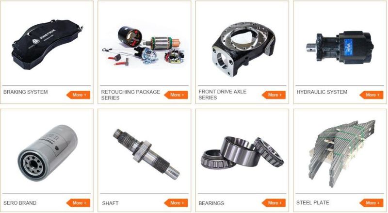 Shacman/FAW/Dongfeng/Foton/Sinotruck HOWO 371 A7 Parts Chassis Spare Parts Shock Absorber Wg1642430091 Az1642430385 Az1642440021 Wg1642440085 for Sale