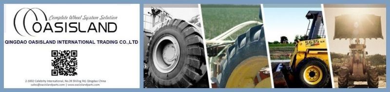 16.00X22.5 Agriculture Flotation Steel Wheel Rims for Tractors, Harvestors