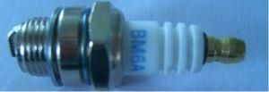 Auto Plug