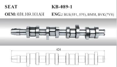 Auto Camshaft for Seat and Skoda (028.109.101ah)
