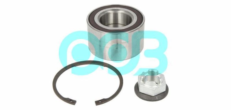 Car Bearing of Front Wheel Hub Vkba6520 1484269 for Ford Tourneo and for Ford Transit