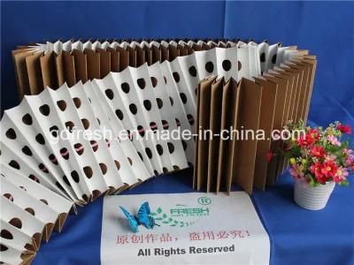 Air Filter Paper Automobile HEPA Air Filter with V-Shape Filter