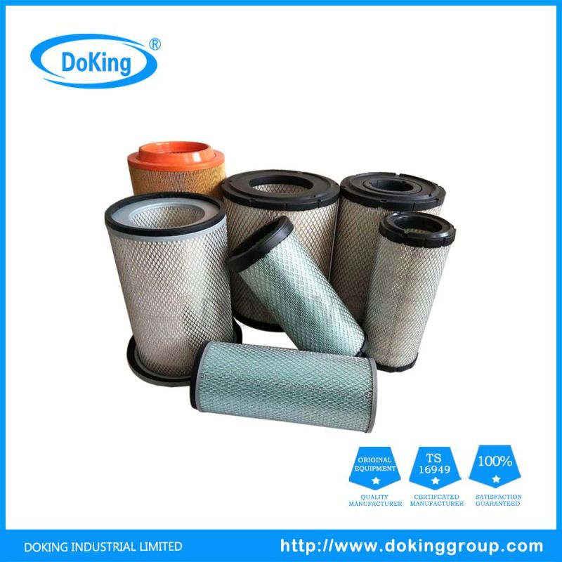 High Quality Auto Parts Air Filters for Benz/VW