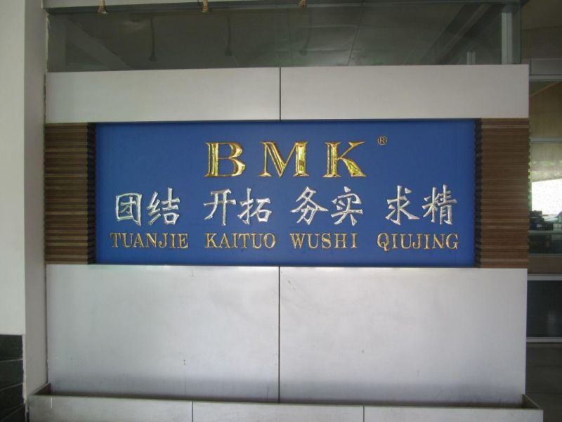 Environmental Friendly Brake Shoe (K2295)