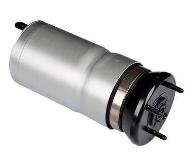Land Rover Discovery 3 Rear Air Spring Oelr0 19 993