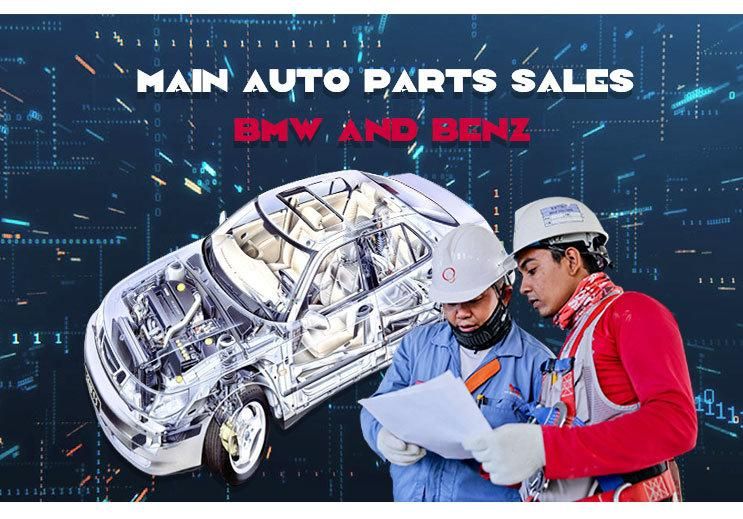 Auto Spare Parts Flex Disc for Mercedes-Benz OE 2404110115 2010009-1