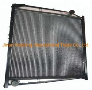 Shacman Truck Dz9112539268 Automobile Radiator