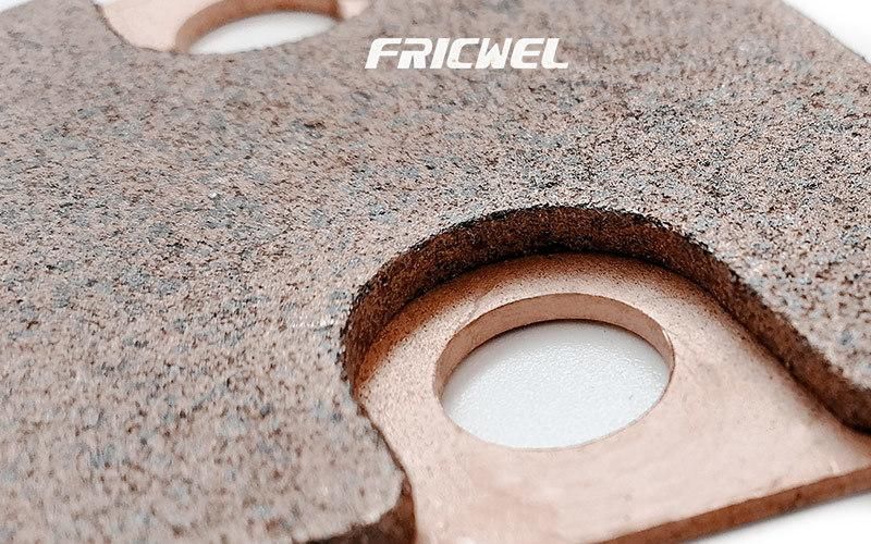 Fricwel Sintered Friction Material Clutch Parts