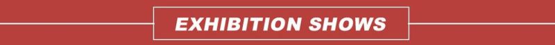 Snr 701498625 R154.32 713610300 Auto Wheel Bearing Kit