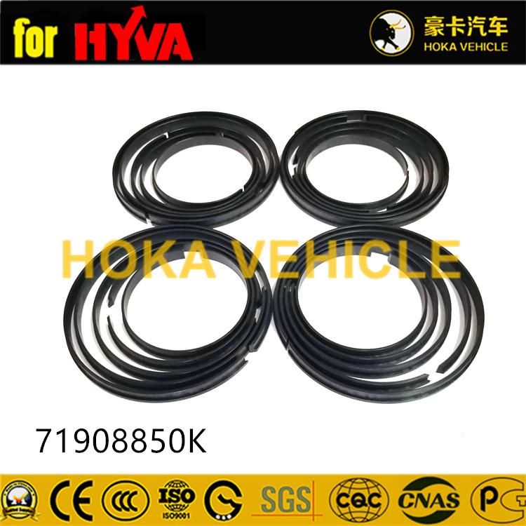 Truck Spare Parts Seal Kit 71908850K for Dump Truck Hyva Hoist System