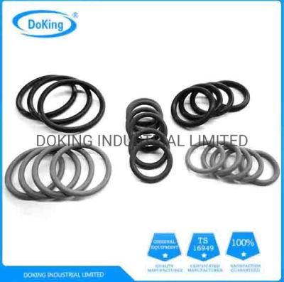 NBR Viton Vmq Rubber O Ring Oil Seal Hydraulic Seal