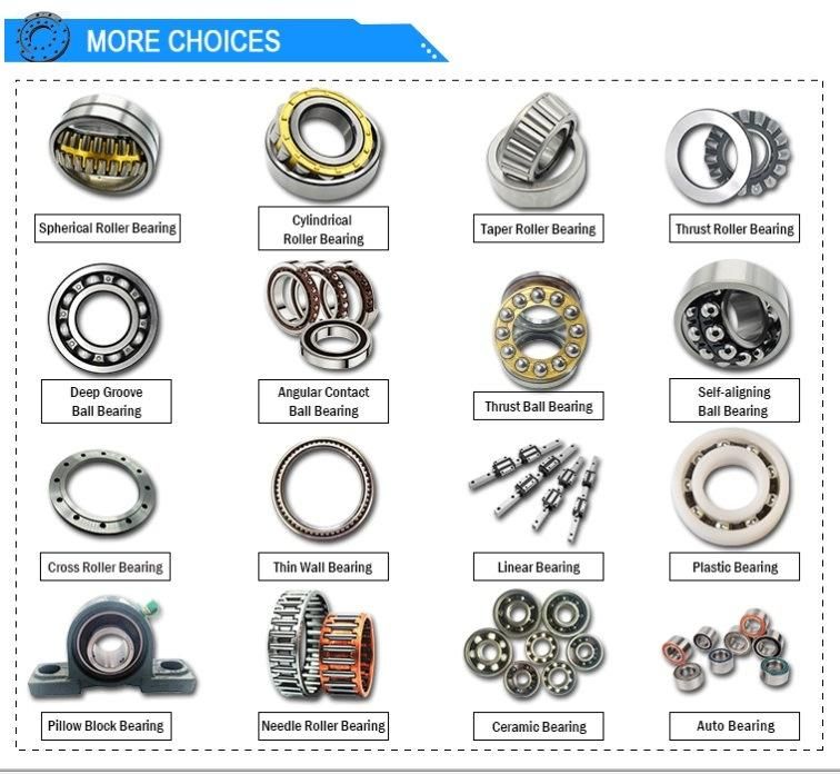 Single Row Cylindrical Roller Bearing Nu302ec/P63hws