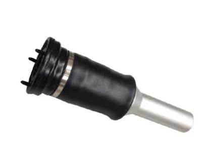 S Class W220 2002-2006 Rear Air Shock Spring