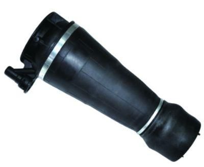 Air Spring for Ford Expedition Front