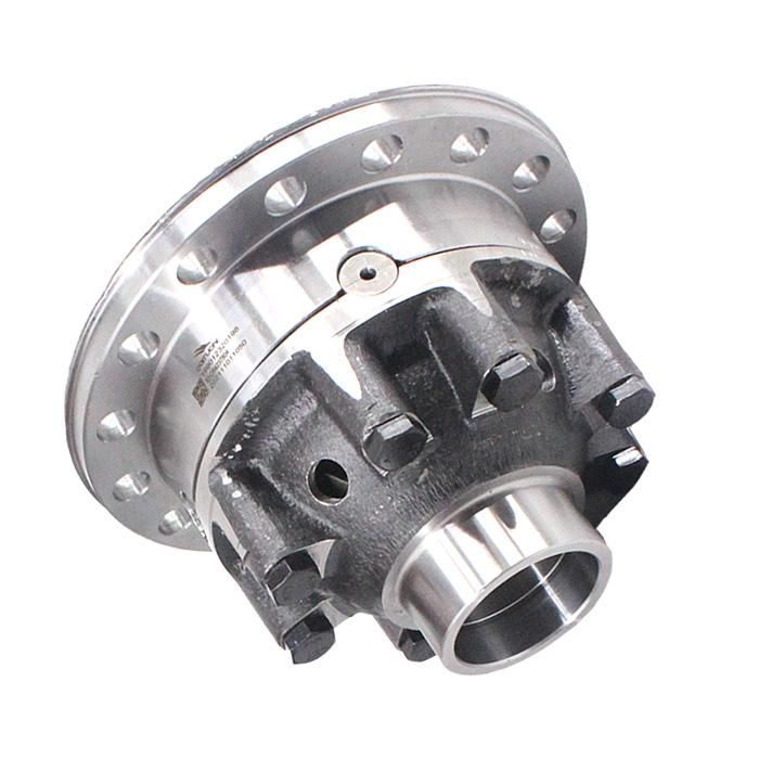 199012320198 Shanqi Handester Axle Gear Differential
