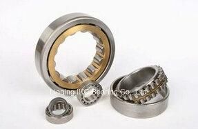 Original Famous Brand Japan NSK Cylindrical Roller Bearing Nu204