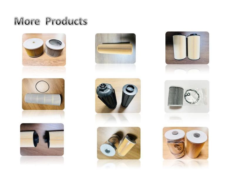 Eco Filter, Oil Filter, Engine Oil Filter Element. High Performance Filters. High Efficiency Filtration