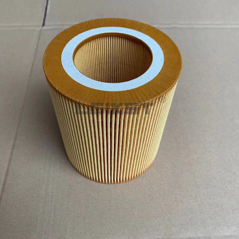 60282026/Sn25204/103061460/C1250/5801820210 Diesel Engine Fuel Filter for Excavator Parts