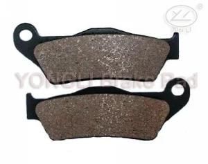 Motorcycle Brake Pad (YL-F073)