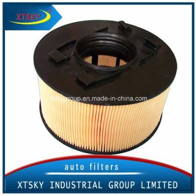 Xtsky Auto Part Manufacturer High Quality Auto Air Filter (OEM: 13717503141)