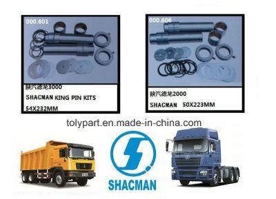 Shacman F3000 F2000 Truck Steering King Pin Kits