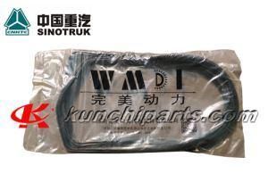 Vg1096150013 Oil Pan Gasket for Sinotruk HOWO