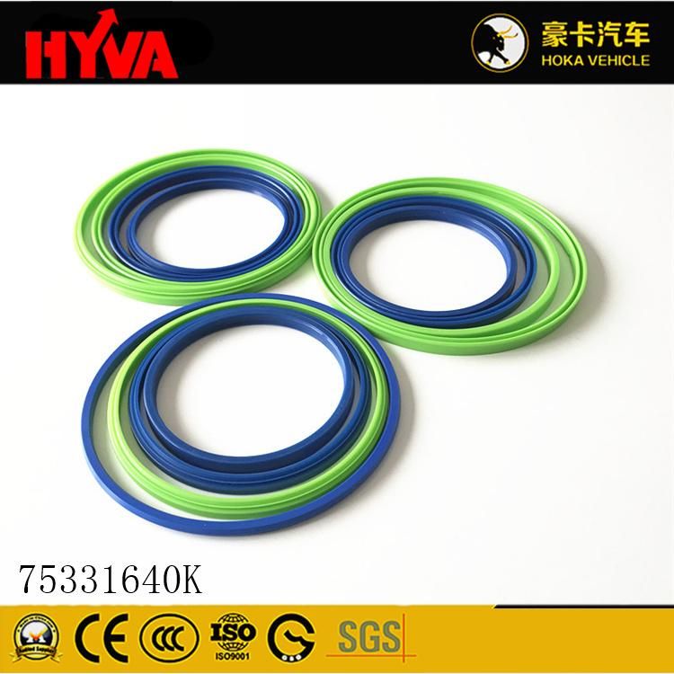 Original and High-Quality Hyva Spare Parts Seal Kit for 172-4 75331640K